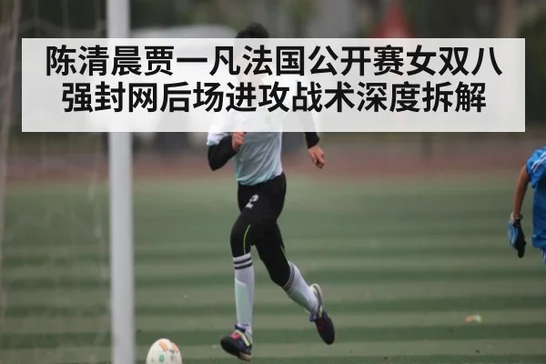陈清晨贾一凡法国公开赛女双八强封网后场进攻战术深度拆解